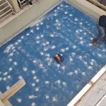 WhatsApp Image 2021-05-31 at 08.56.33 (3)