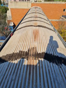 WhatsApp Image 2021-07-15 at 12.20.21